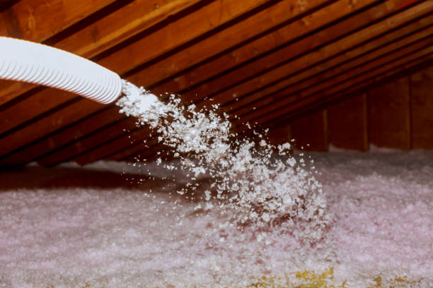 Best Insulation Replacement Services  in Falcon Heights, MN