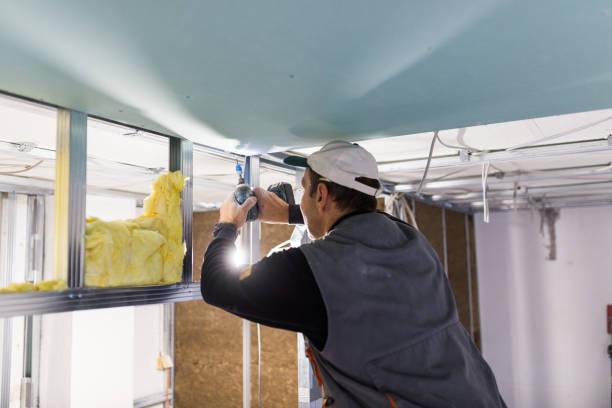 Best Insulation Inspection Services  in Falcon Heights, MN