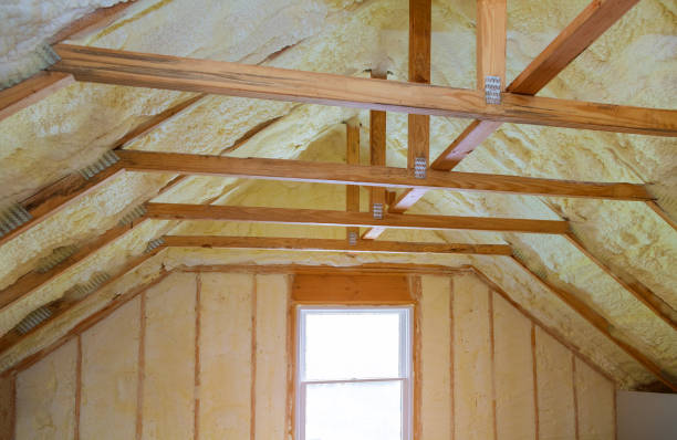 Best Insulation for New Construction  in Falcon Heights, MN