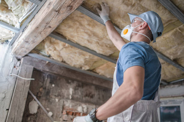 Best Spray Foam Insulation  in Falcon Heights, MN